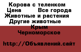 Корова с теленком › Цена ­ 69 - Все города Животные и растения » Другие животные   . Крым,Черноморское